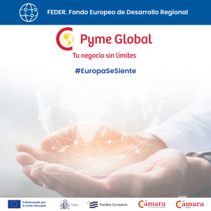 PYME GLOBAL