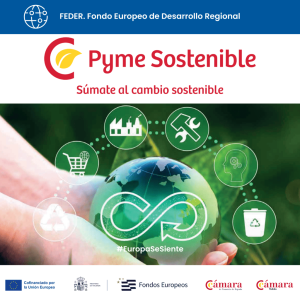 PYME SOSTENIBLE
