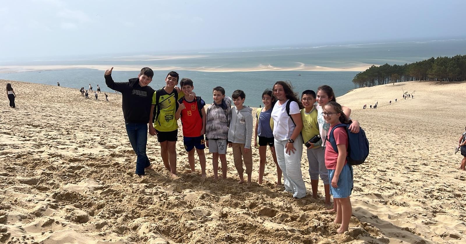 Noblejas erasmus4
